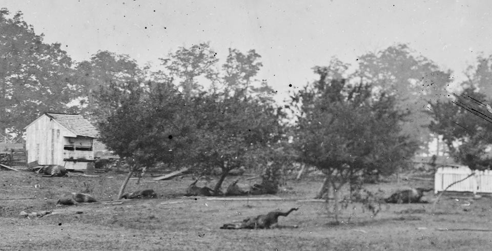 Gen Meades Hq several days after Picketts Charge